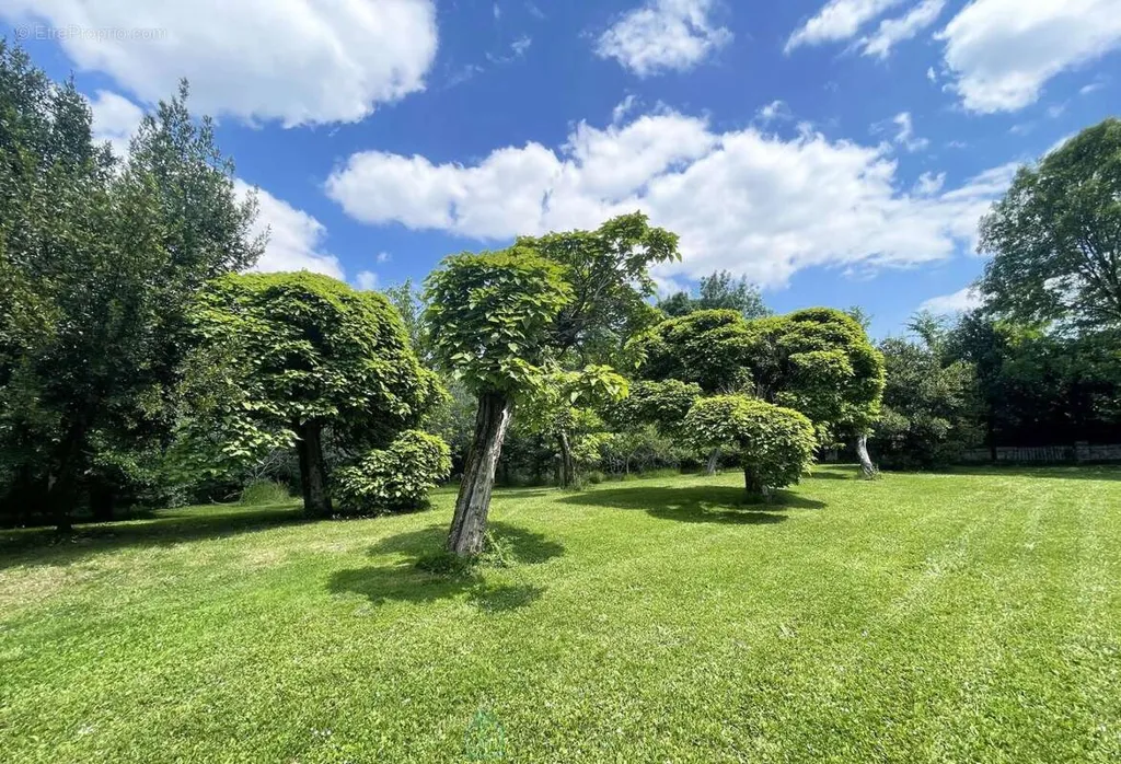Jardin - Château du XVIIIe avec gîte indépendant à Cognac