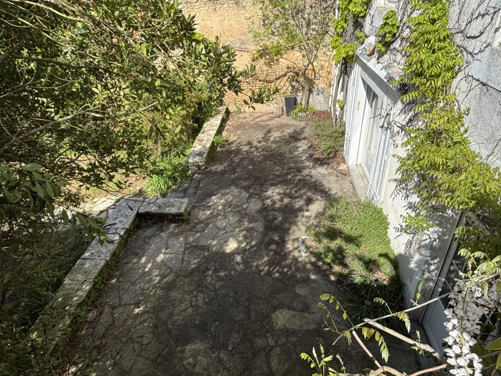 Aed - Character House with River Access in Vouillé