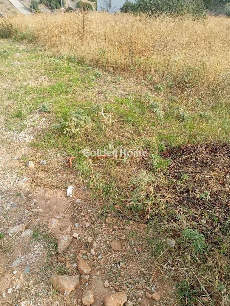 Land in GR