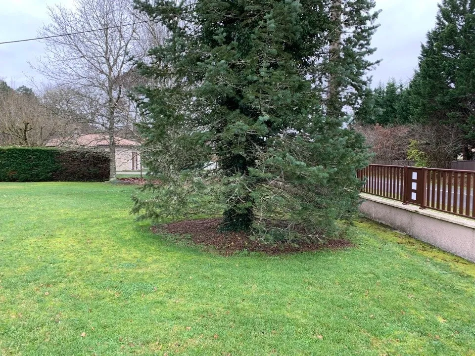 Jardin - Maison à Construire avec Jardin à Le Barp