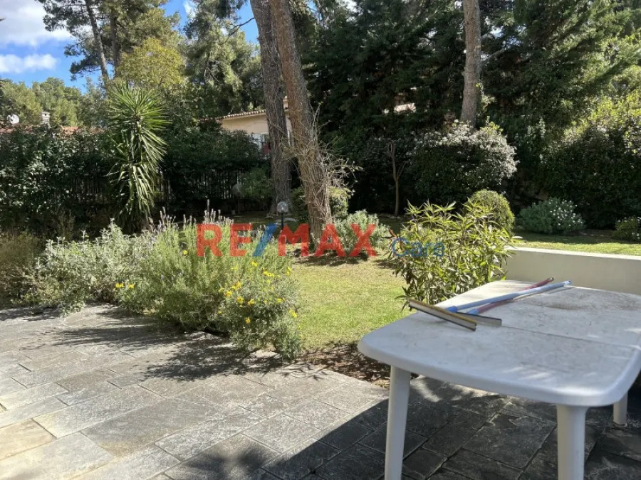 terrace_patio