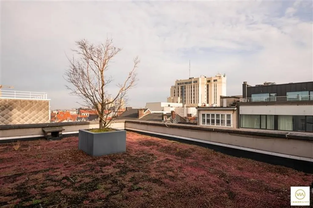 Terrazza - Bohemian Duplex with Terrace in Antwerp
