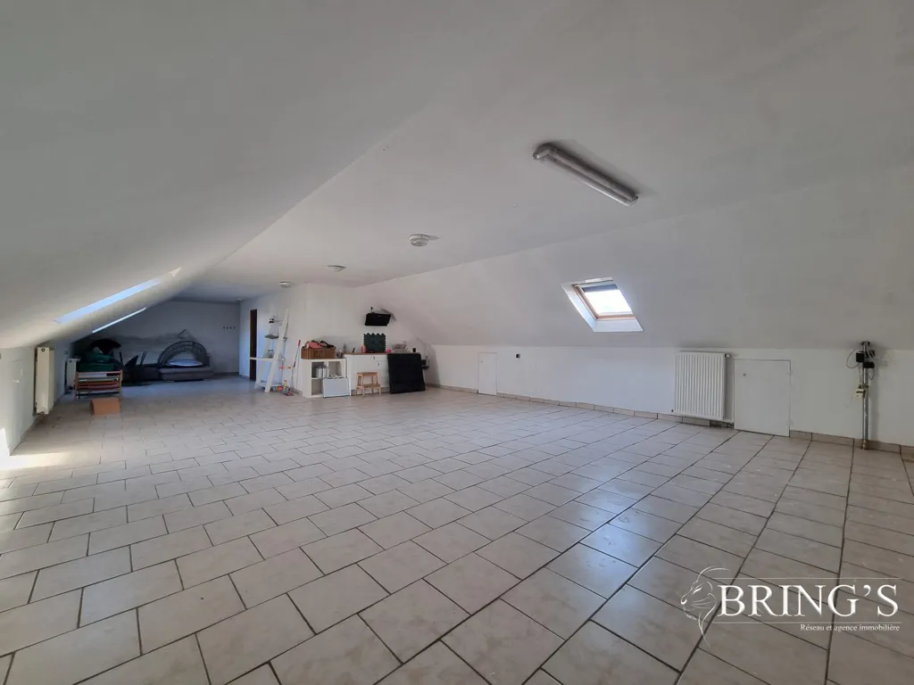Toad - Renovated House with Terrace in Delme
