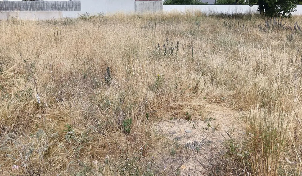 Giardino - Constructible Plot with Forest Access in Saint-Jean de Monts
