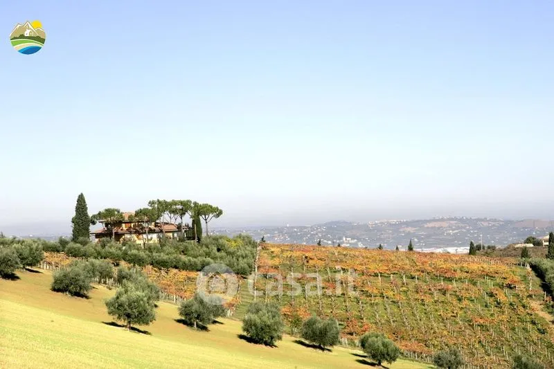 Jardin - Panoramic Villa with Private Park in Notaresco