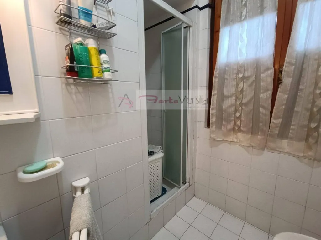 Vannitoad - Central Villa with Garden in Forte Dei Marmi