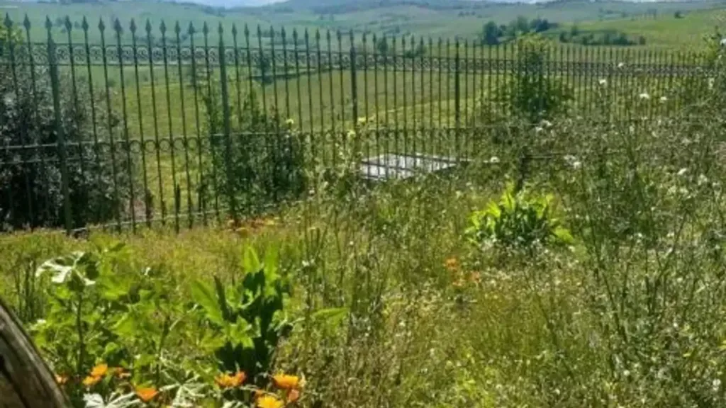 Aed - Villa with Vineyard View in Santa Maria Della Versa