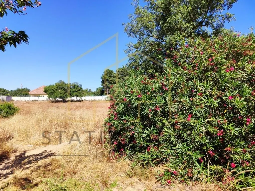 Jardin - Luxury House with Pool in Setúbal