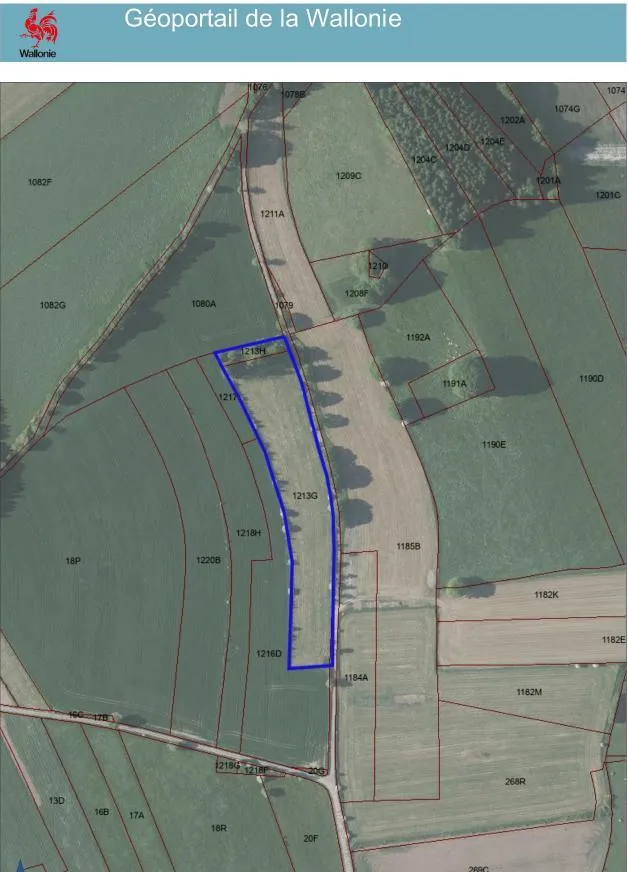 Plan - Terrains Agricole et Boisé à Morhet