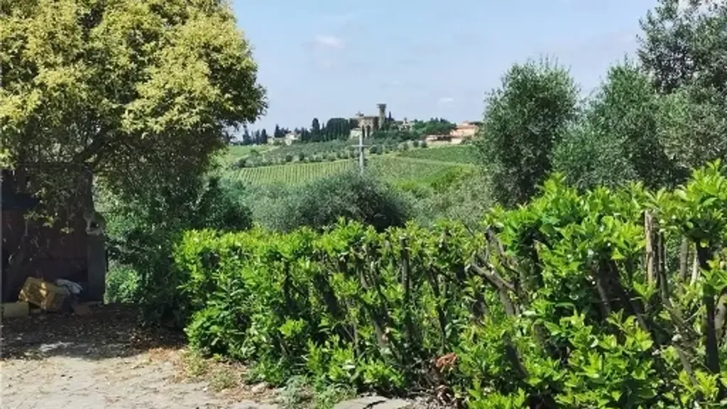 Jardin - Triplex Villa with Garden in Montespertoli