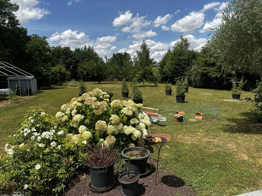 Giardino - Spacious Pavilion with Garden in St Amand Longpré