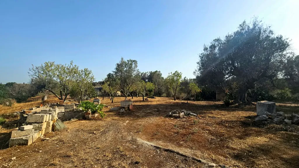 Jardin - Trullo with Olive Grove in Carovigno