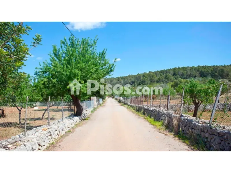Aed - Rustic Finca with Serra de Tramuntana View in Selva