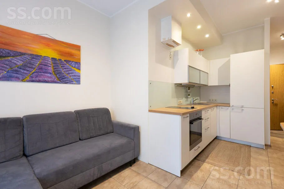 Séjour - Sunny Two-Bedroom Flat in Green Imanta