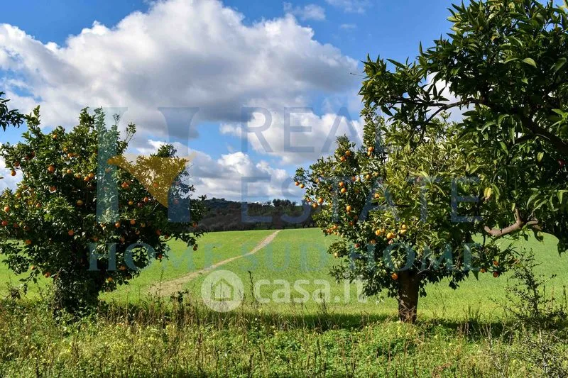 Jardin - Rustic Casale with Panoramic Views near Noto