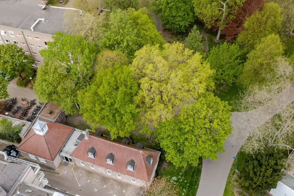 Õhuvaade - Renovated Villa with Private Terrace in Breda