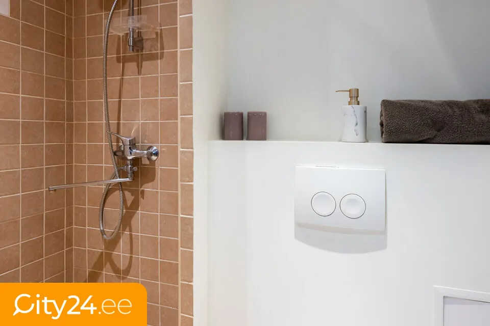 Salles de bain - Apartment with Stone Construction in Tallinn