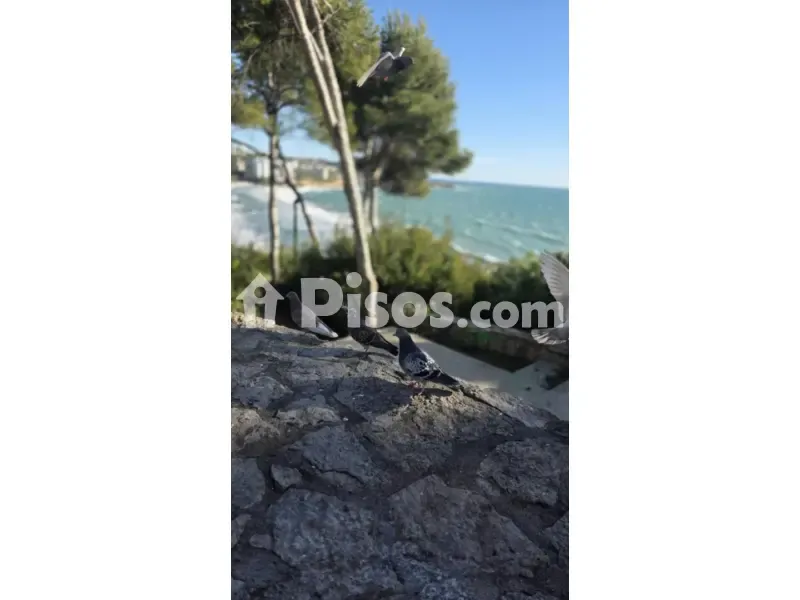 Apartment with South View in Salou Eixample