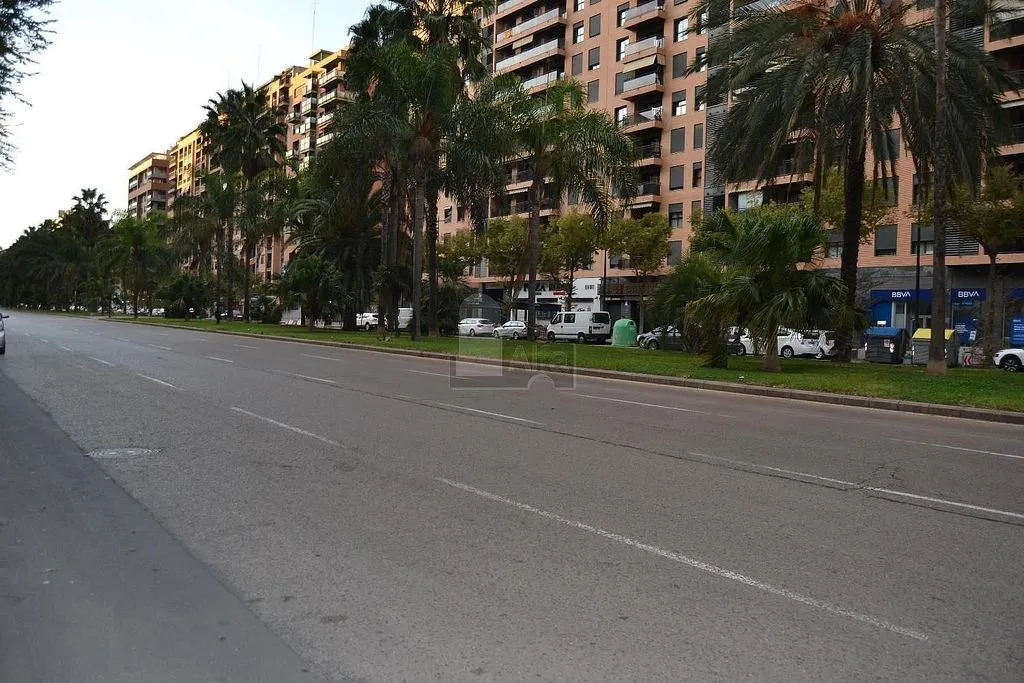 1-Bed Flat with Garden on Avenida Francia