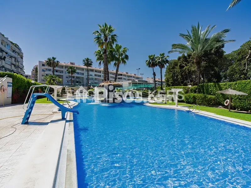 Pool - Modern Flat with Golf View in Alicante