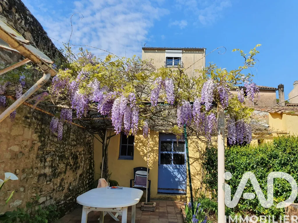 Aed - Charming Stone House with Garden in Blaye Centre