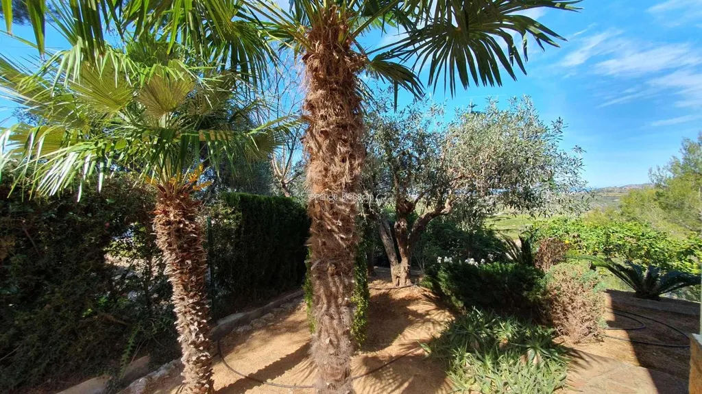 Aed - Detached Villa with Sea Views in Ador
