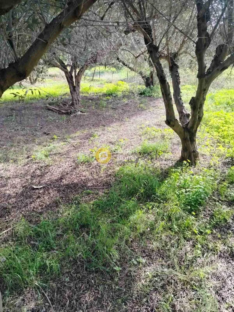 Jardin - Plot with Sea View in Ammoudara