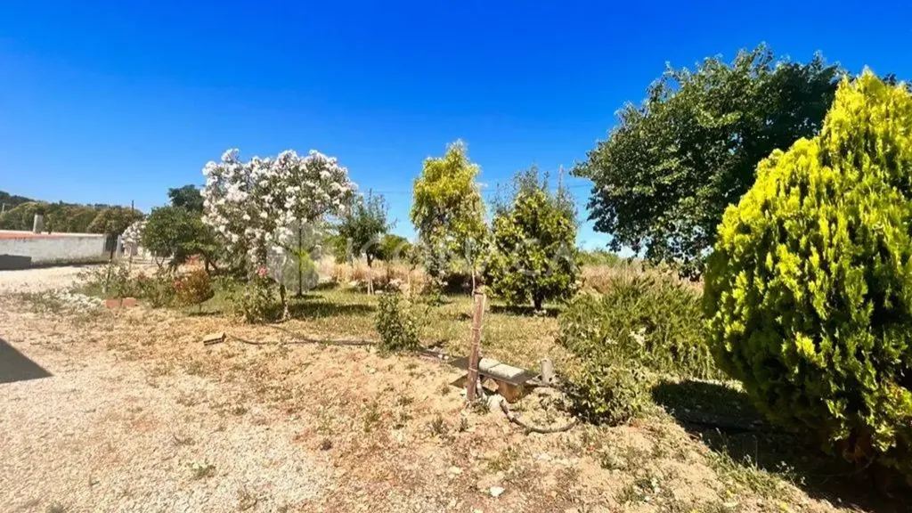 Jardin - Bilocale with Garden in Termoli