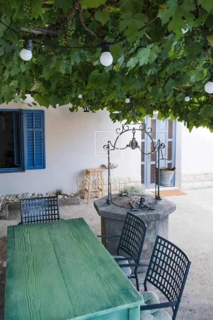 Terrass - Renovated Stone House with Pool in Drivenik