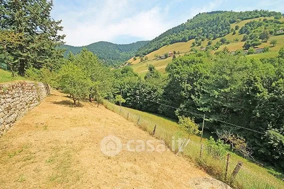 Jardin - Rustic Casale with Garden in Vigolo