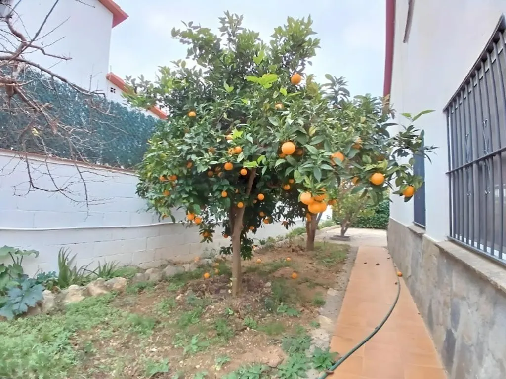 Aed - Chalet with Garden in Sant Pere de Ribes