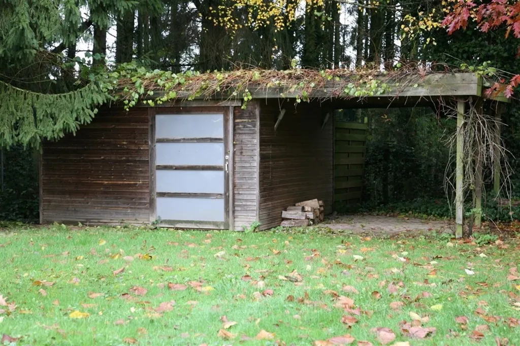 Jardin - Maison de Plain-Pied au Calme avec Terrasse à Bruxelles
