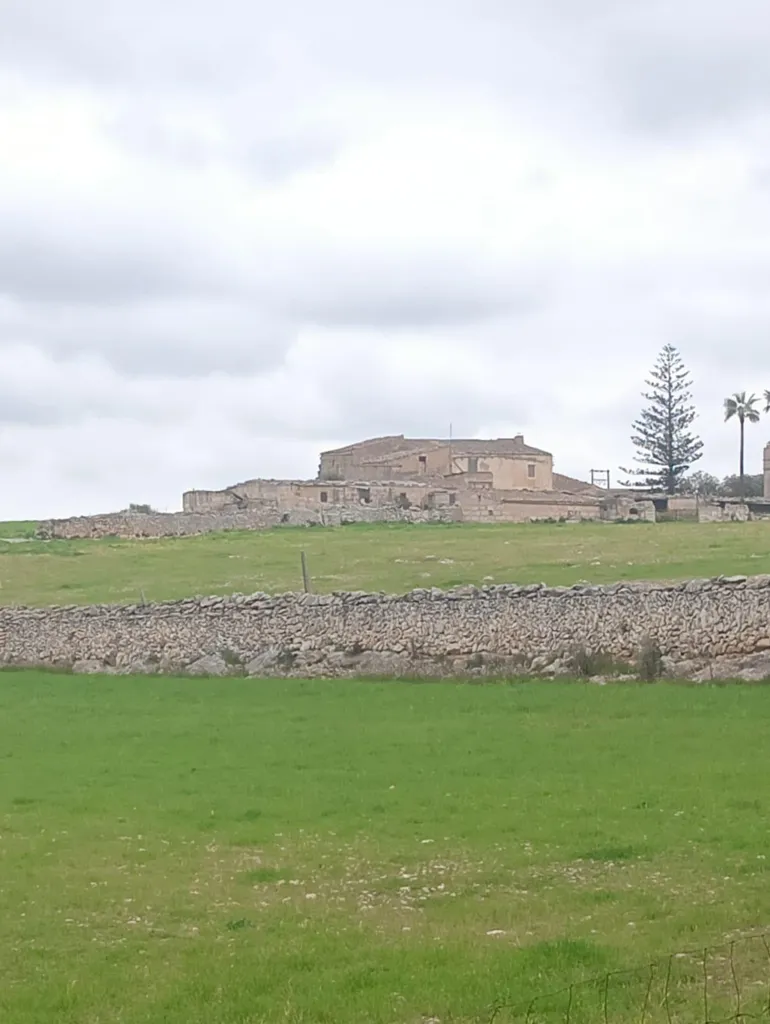 Aed - Luxury Farmhouse with Well in Manacor