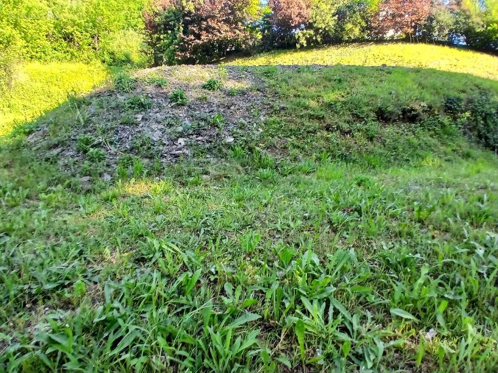 Jardin - Terrain à Bâtir à Laissaud avec Vue Sud-Ouest