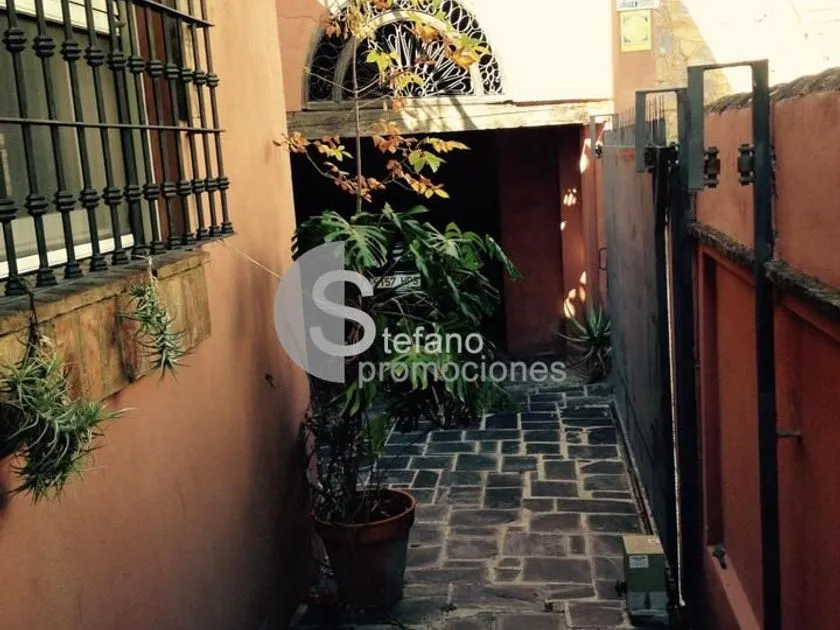 Garden - Chalet with Terrace in Pedregalejo, Málaga