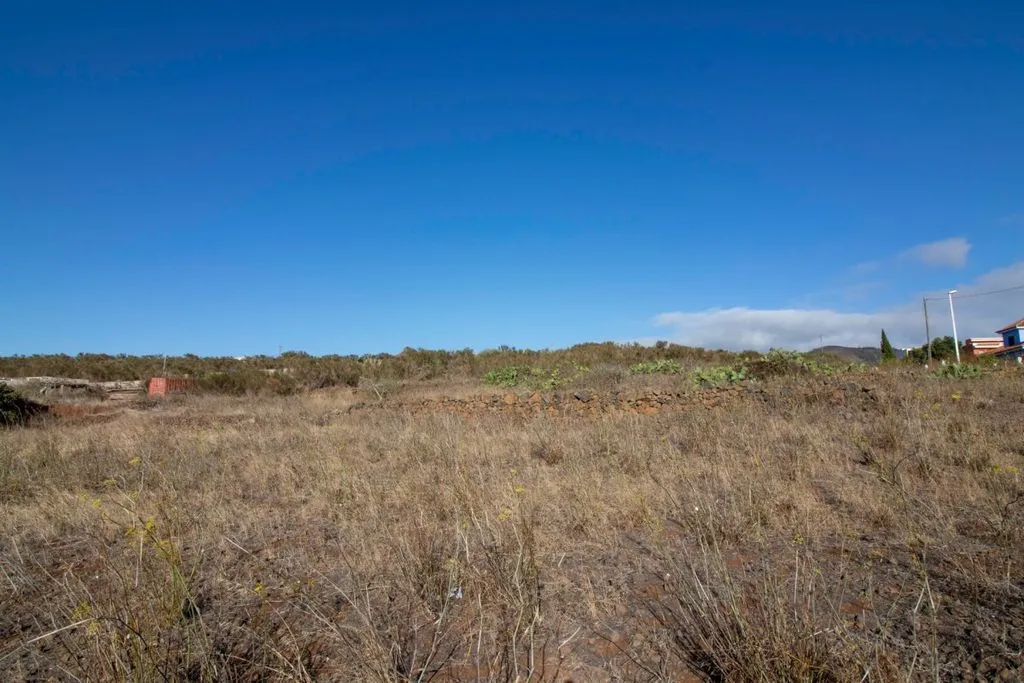 Garden - Building Land with Chalet Potential in El Rosario