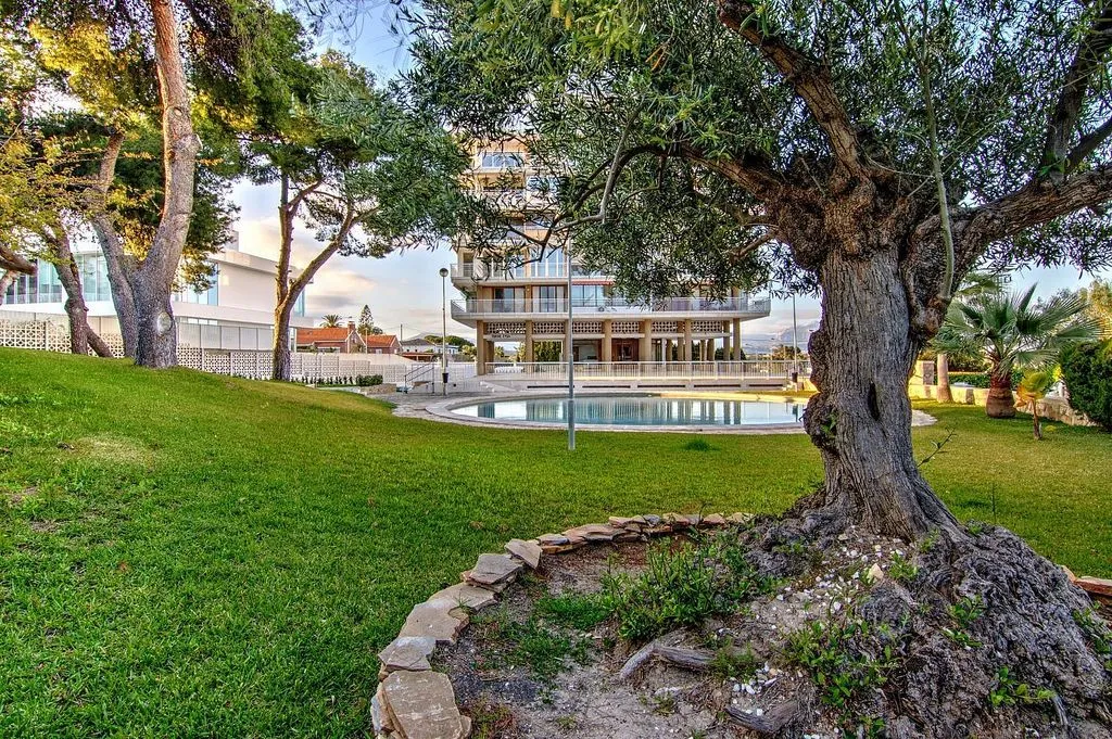 Jardin - Apartment with Pool and Terrace in Albufereta