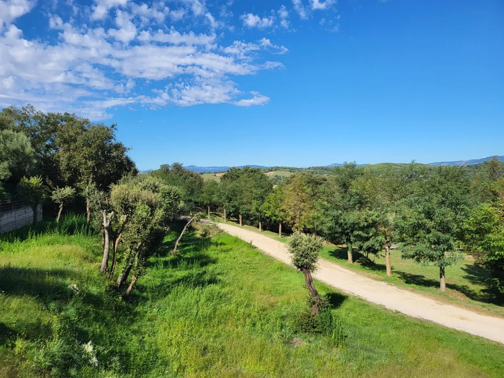 Aed - 750 m² Plot in Santa Agnès de Malanyanes