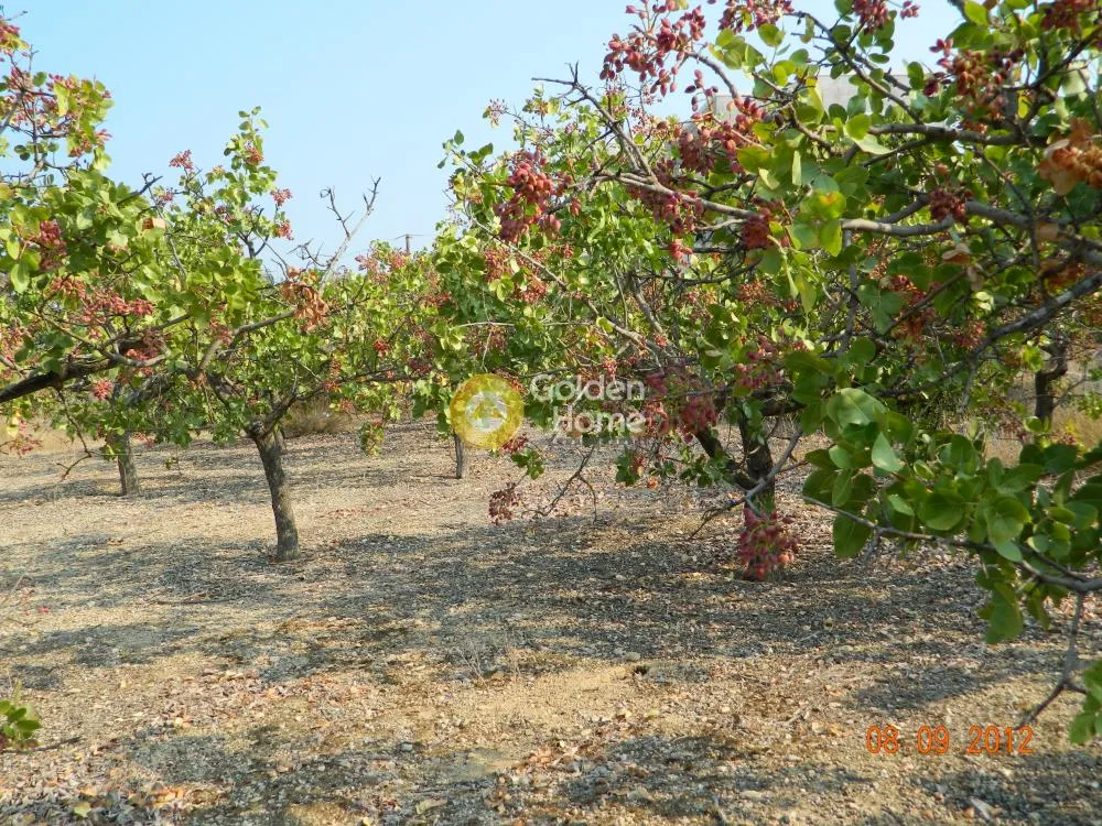 Giardino - Plot with Sea View in Agia Marina, Agia Napa