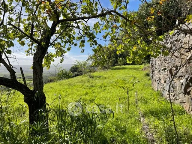 Jardin - Ground Floor Apartment with Garden in Macomer