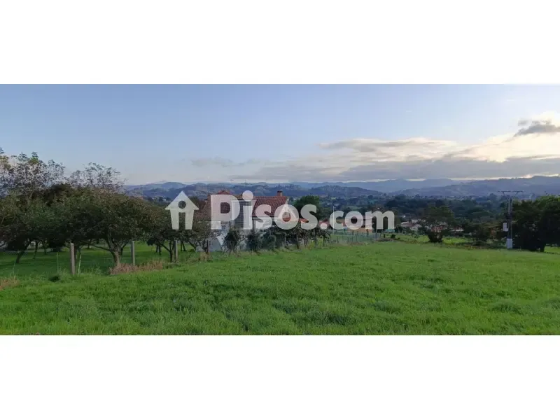 Jardin - Rustic Finca with Land in Noreña