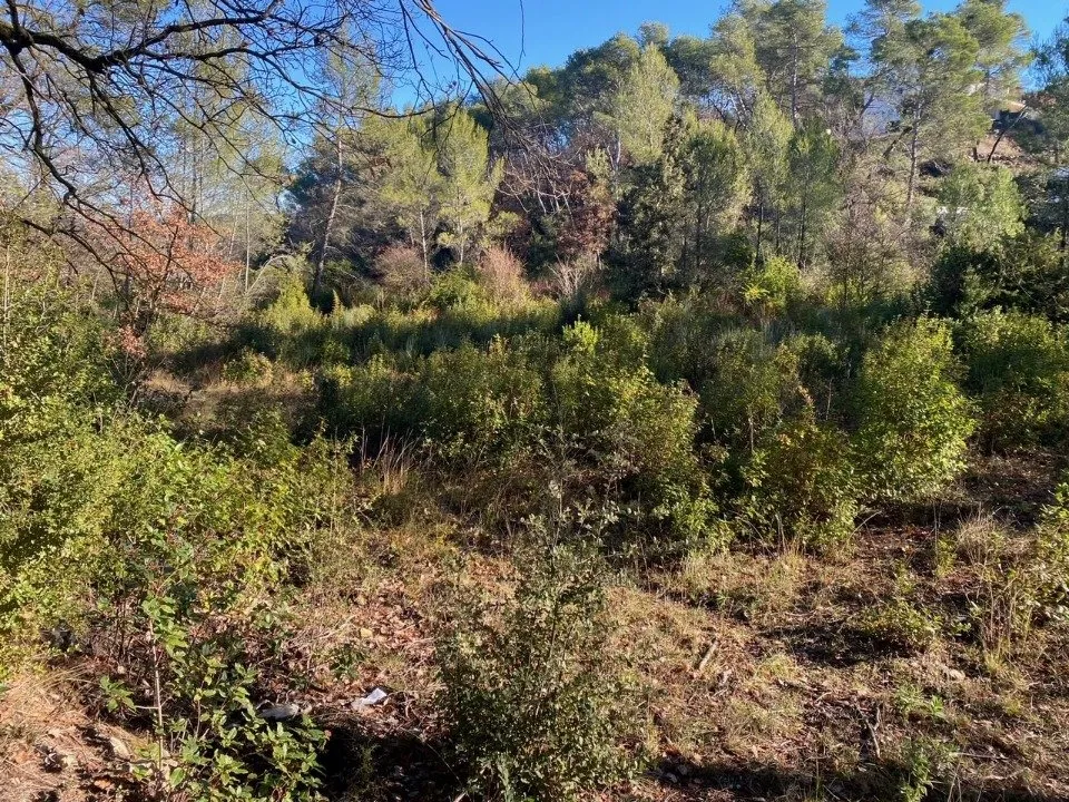 Jardin - Maison à Construire avec Jardin à Brignoles