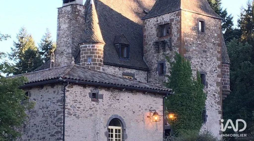 Välivaade - Historic Château with Swimming Pool near Saint-Flour