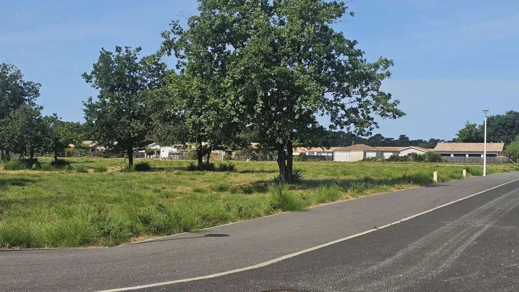 Jardin - Terrain à Bâtir avec Accès Plage à VENDAYS-MONTALIVET
