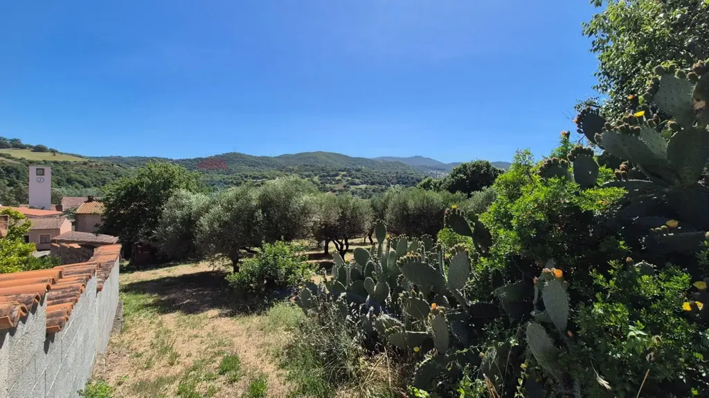 Aed - Rustic House with Olive Grove in Allai