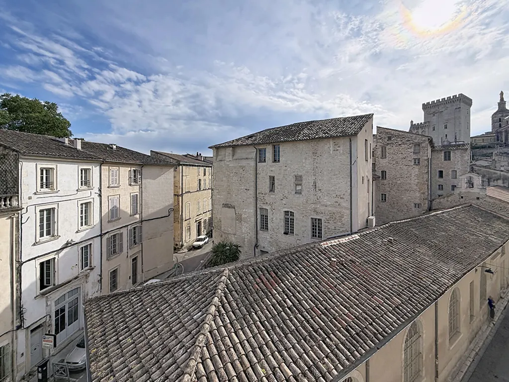 Välivaade - Flat with Views in Historic Avignon