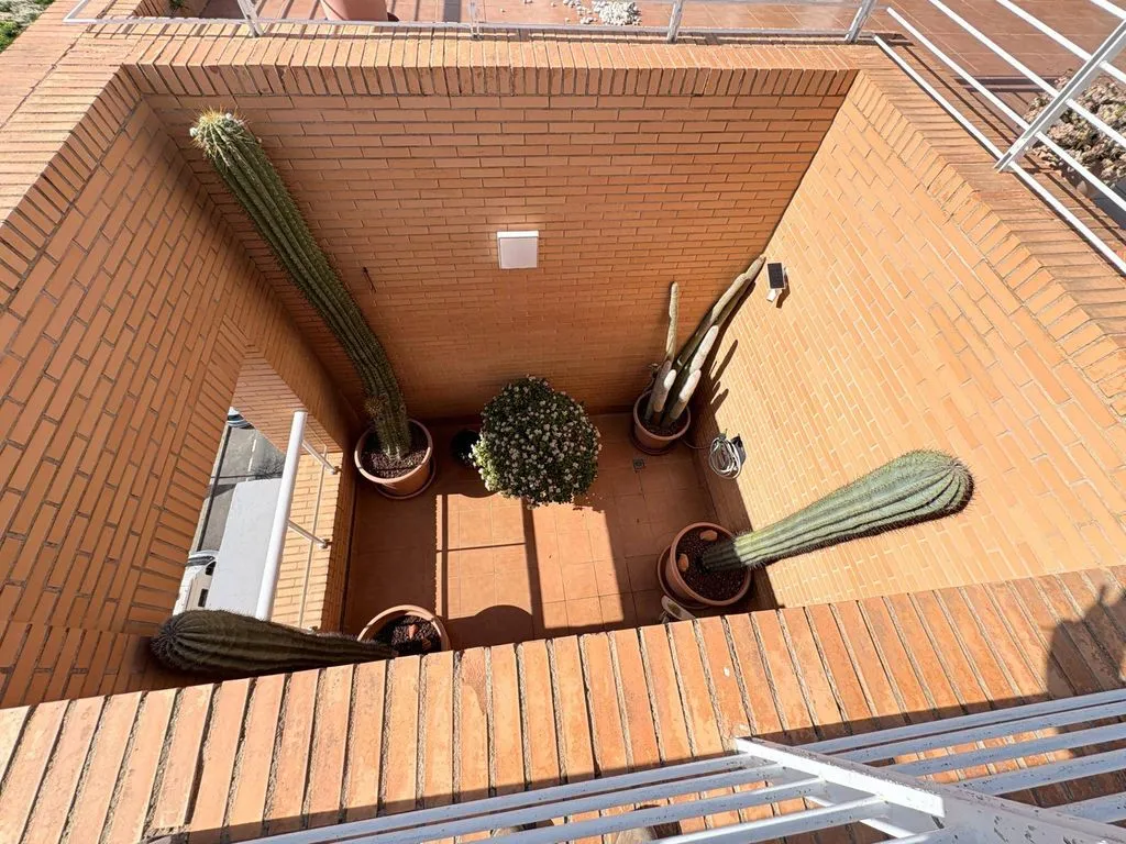 Garden - Luxury Penthouse with Pool in Playa de San Juan