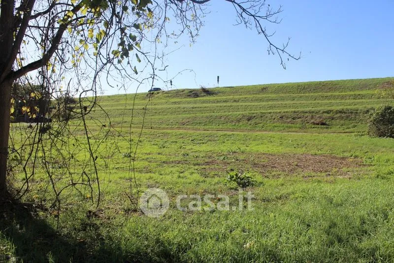 Giardino - Rustic Casale with Private Garden in Stienta