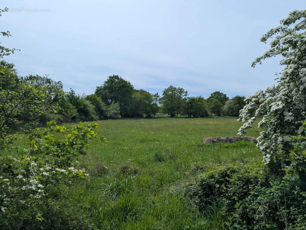 land_plot