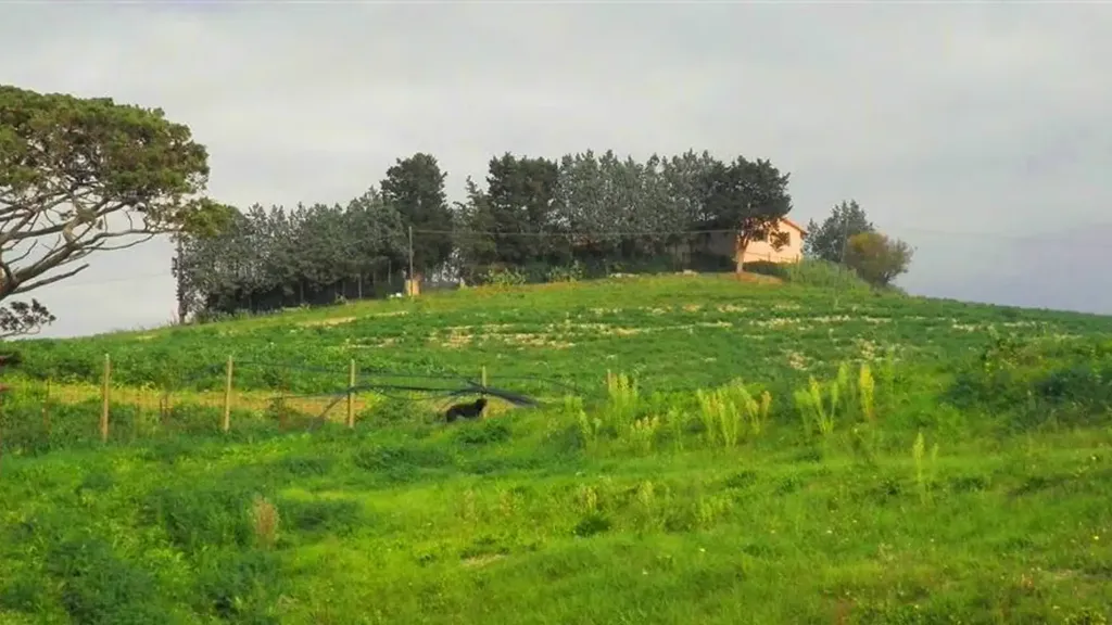 Jardin - Stone Cottage with Panoramic Views near Rosignano